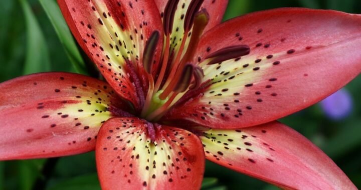 Ejemplos de eslóganes para empresas de impresión de patrones textiles