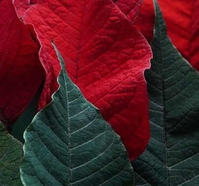 Ejemplos de eslóganes para empresas de marketplaces de moda