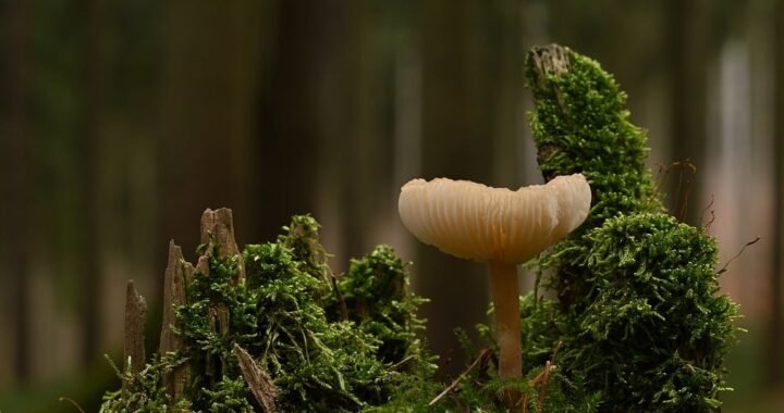 Ejemplos de eslóganes para empresas de maternidad y salud infantil