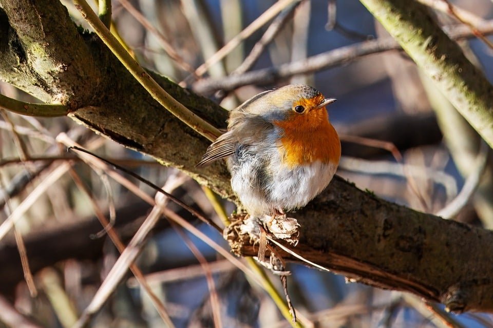 ejemplos de eslóganes para empresas de medicina deportiva