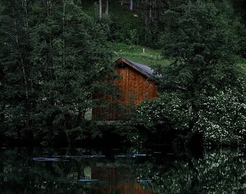 Ejemplos de eslóganes para empresas de música y discográficas
