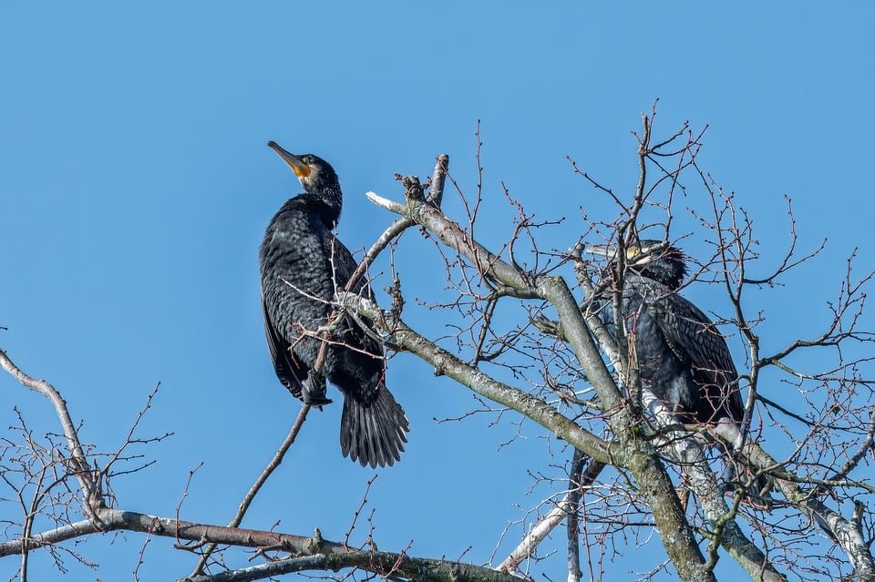 ejemplos de eslóganes para empresas de parques acuáticos