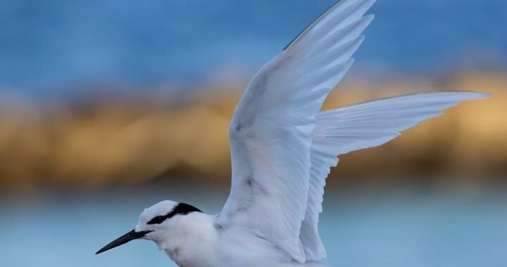 Ejemplos de eslóganes para empresas de personalización de experiencias con IA