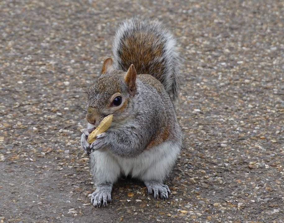 ejemplos de eslóganes para empresas de plataformas de video bajo demanda