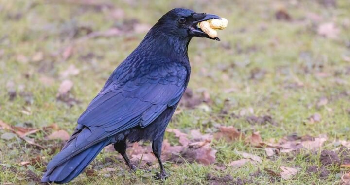 Ejemplos de eslóganes para empresas de producción de bioplásticos agrícolas