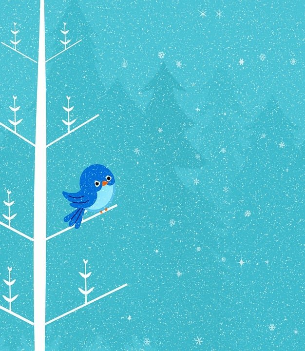 ejemplos de eslóganes para empresas de producción de mariscos y crustáceos