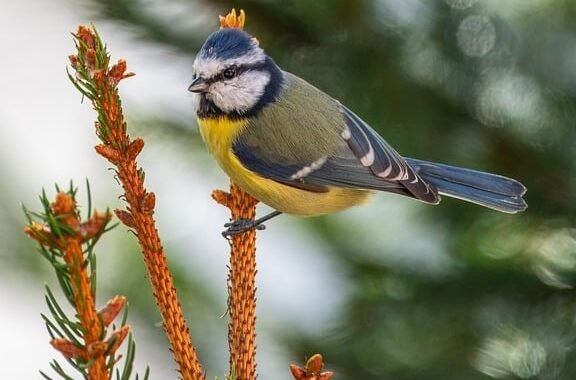 Ejemplos de eslóganes para empresas de purificadores de aire y agua para salud