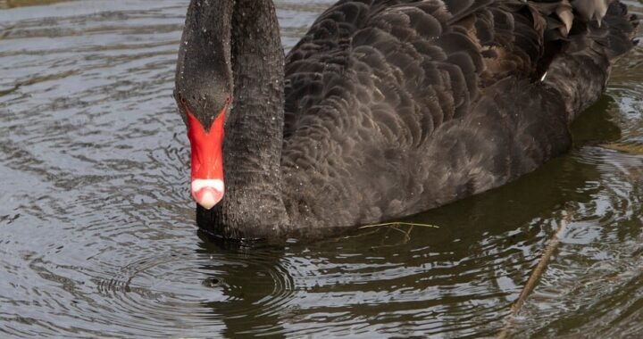 Ejemplos de eslóganes para empresas de radares y sistemas de detección