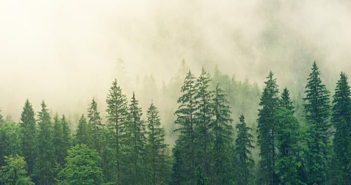 Ejemplos de eslóganes para empresas de rastreo y geolocalización