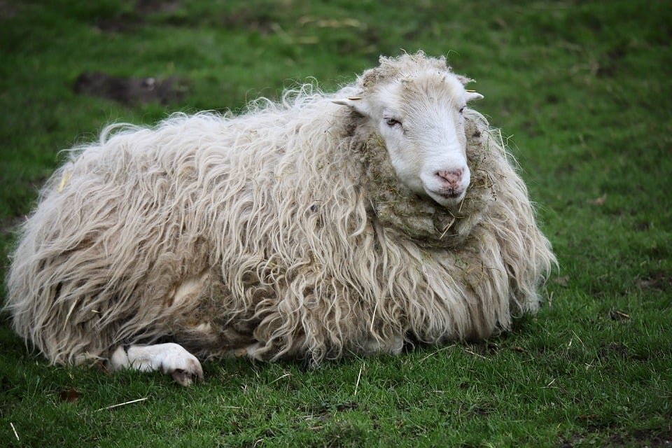 ejemplos de eslóganes para empresas de relojes deportivos