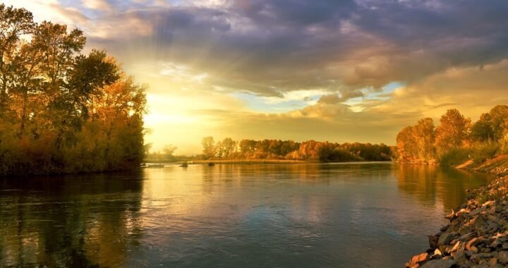 Ejemplos de eslóganes para empresas de reservas de experiencias culinarias
