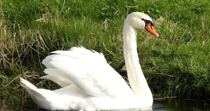 Ejemplos de eslóganes para empresas de restauración de fachadas