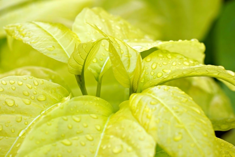 ejemplos de eslóganes para empresas de robótica agrícola