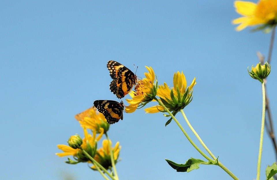 ejemplos de eslóganes para empresas de ropa para cosplay