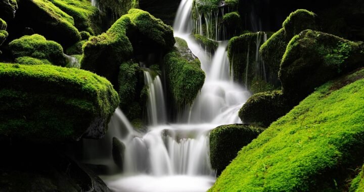 Ejemplos de eslóganes para empresas de seguridad en comunicación militar