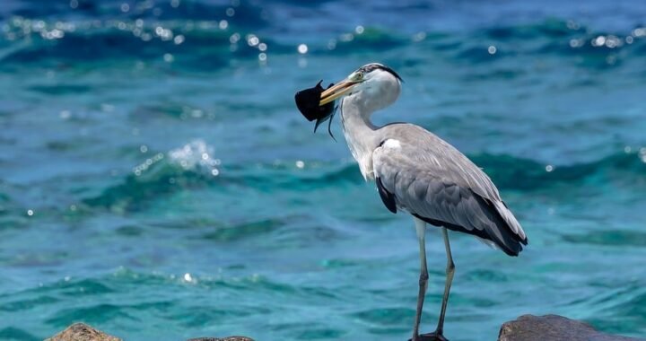 Ejemplos de eslóganes para empresas de seguridad en dispositivos móviles