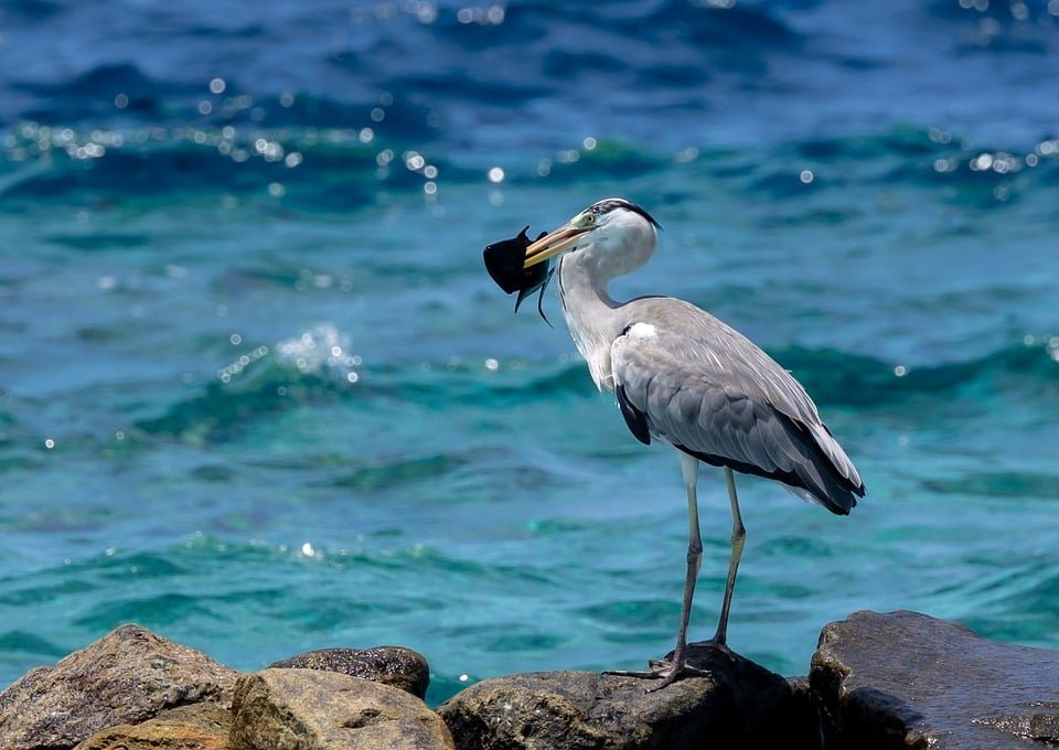 ejemplos de eslóganes para empresas de seguridad en dispositivos móviles