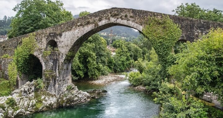 Ejemplos de eslóganes para empresas de seguridad en hospitales