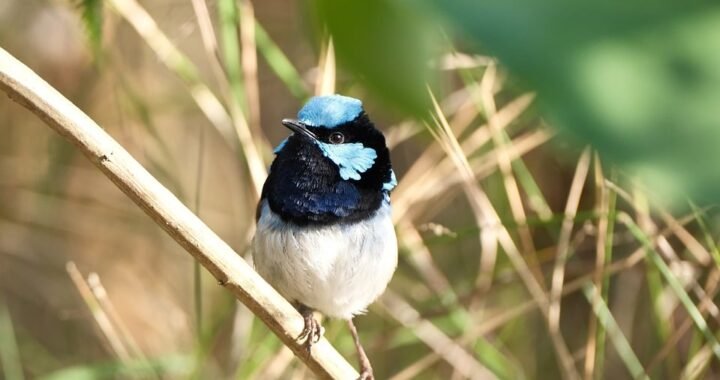 Ejemplos de eslóganes para empresas de seguridad en redes informáticas