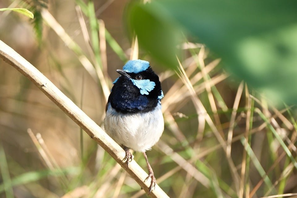 ejemplos de eslóganes para empresas de seguridad en redes informáticas
