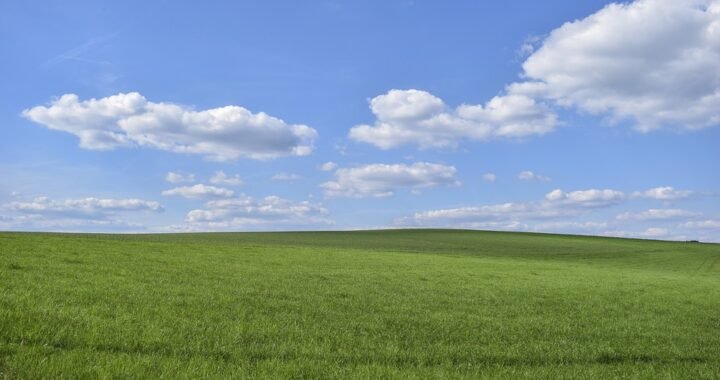 Ejemplos de eslóganes para empresas de seguros médicos