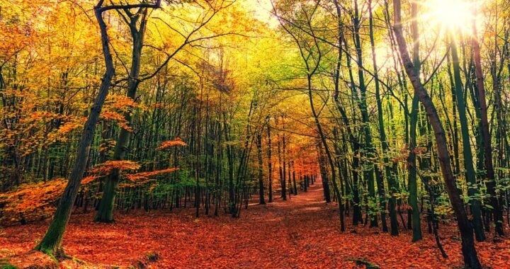 Ejemplos de eslóganes para empresas de servicios de catering para eventos