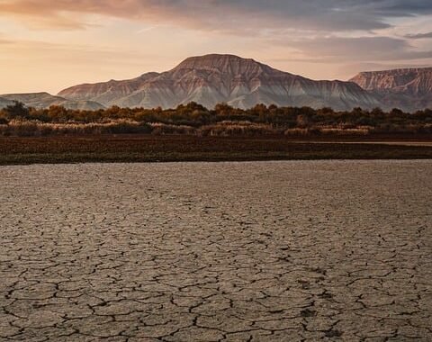 Ejemplos de eslóganes para empresas de sombreros y gorras