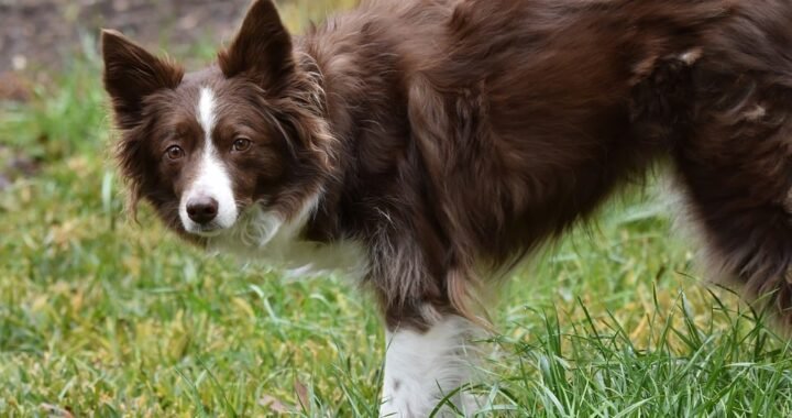 Ejemplos de eslóganes para empresas de tapicería y decoración textil