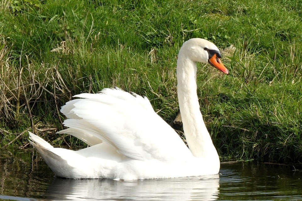 ejemplos de eslóganes para empresas de tasación y valoración inmobiliaria