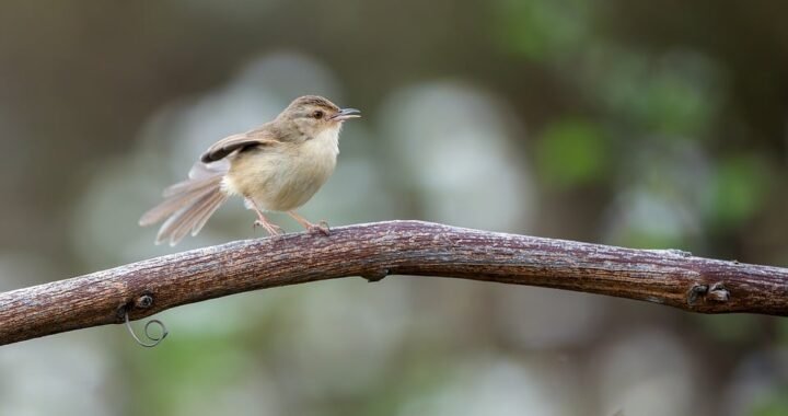 Ejemplos de eslóganes para empresas de tecnología en defensa