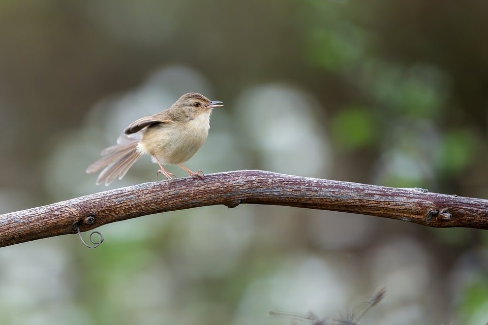 ejemplos de eslóganes para empresas de tecnología en defensa