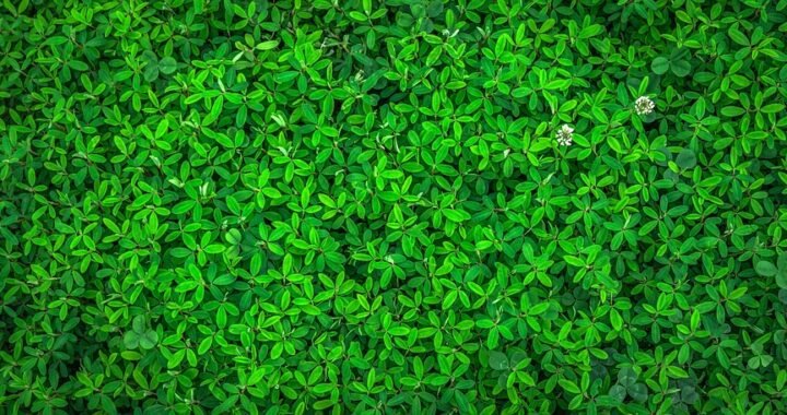 Ejemplos de eslóganes para empresas de tecnología satelital en seguridad