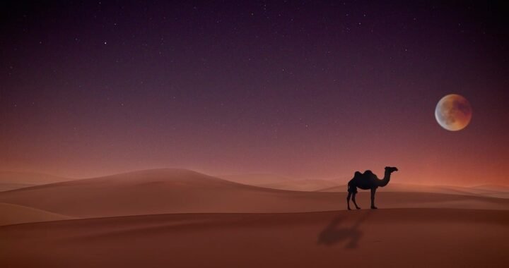 Ejemplos de eslóganes para empresas de tecnologías de identificación biométrica