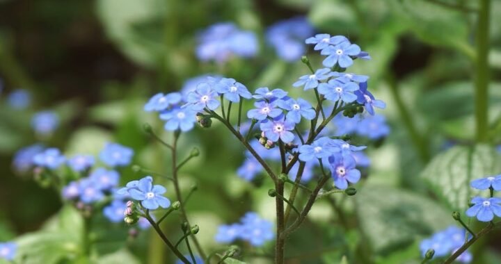 Ejemplos de eslóganes para empresas de textiles ecológicos