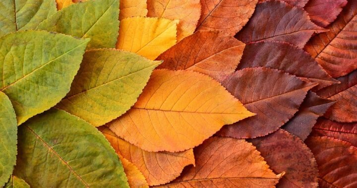 Ejemplos de eslóganes para empresas de turismo arqueológico