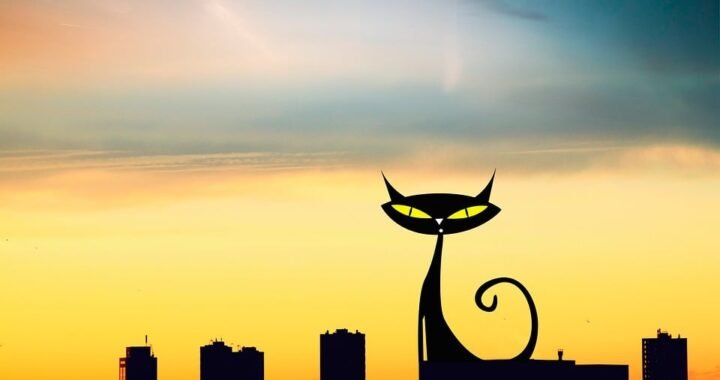 Ejemplos de eslóganes para empresas de turismo de compras