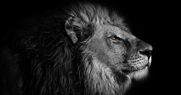 Ejemplos de eslóganes para empresas de turismo en la Antártida