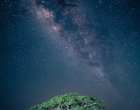Ejemplos de eslóganes para empresas de uniformes médicos