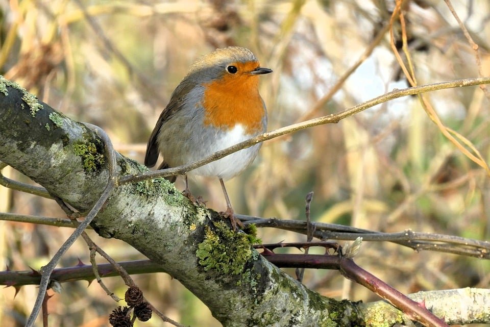 ejemplos de eslóganes para empresas de urbanismo y planificación